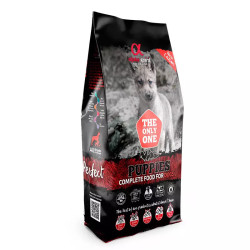 Alpha spirit cachorro