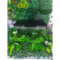 Terrario plastico 30x21x13