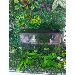 Terrario plástico 37x20x20