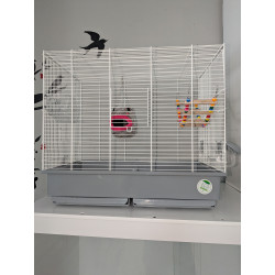 Imagen frontal jaula petauros